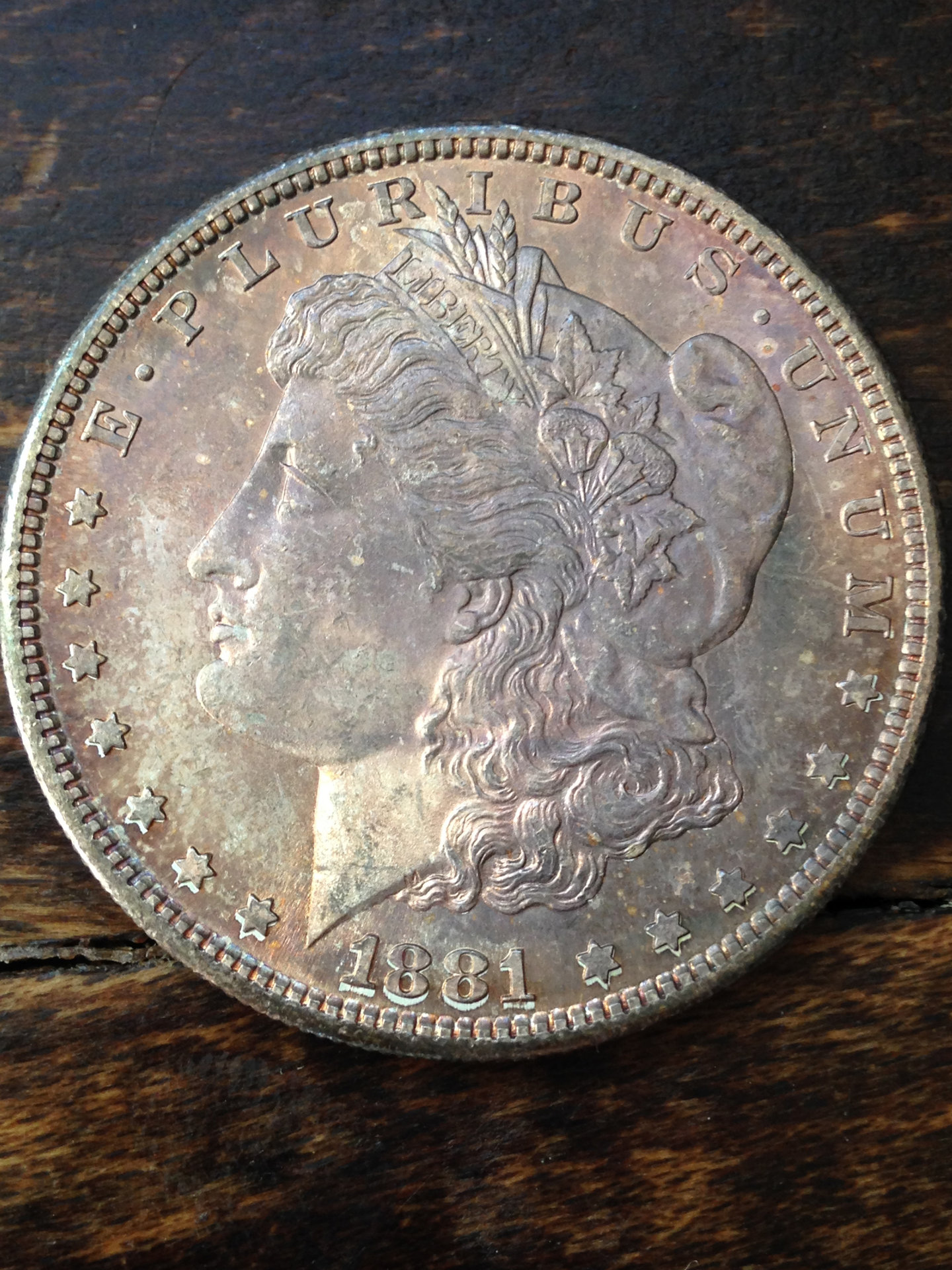 1881 s poss VAM Scott 3.jpg