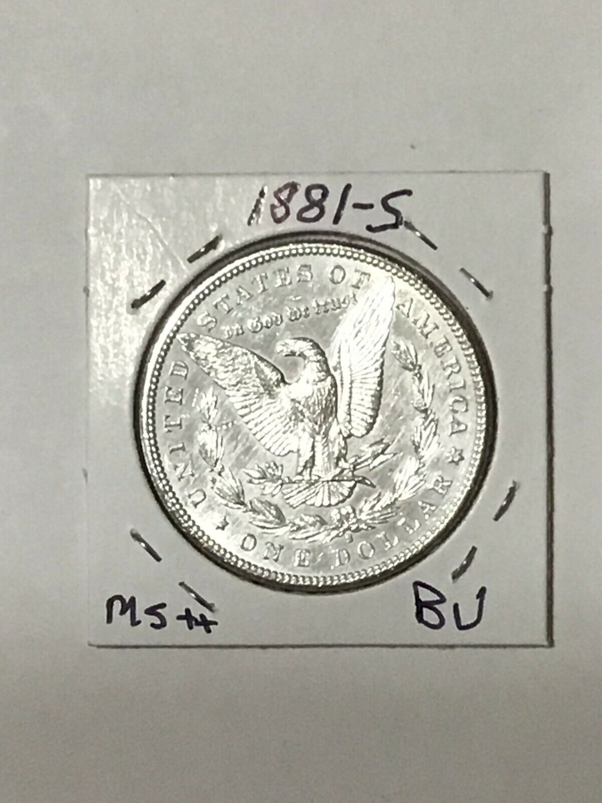 18812.jpg