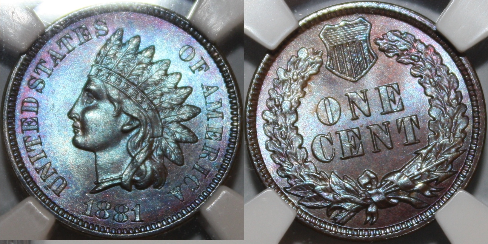 1881_3.jpg
