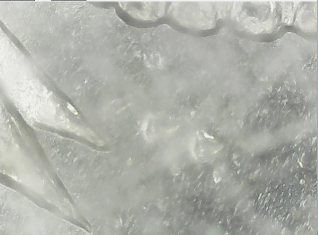 1881s a2 03 raised dots above the arrows.jpg