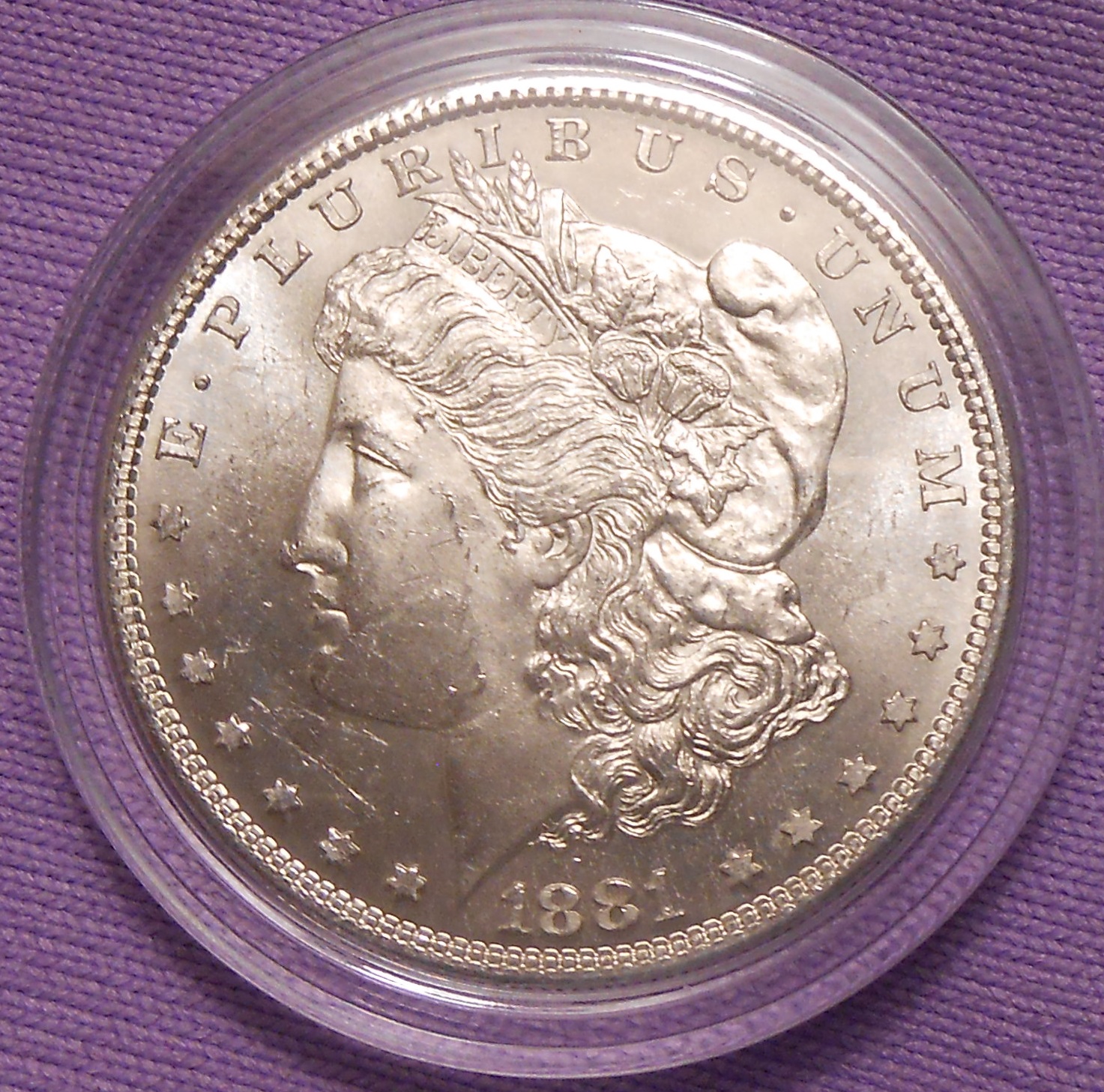 1881s Morgan dollar obverse.jpg