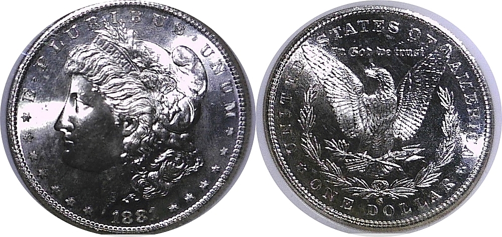 1881S Morgan -Obv-horz.jpg