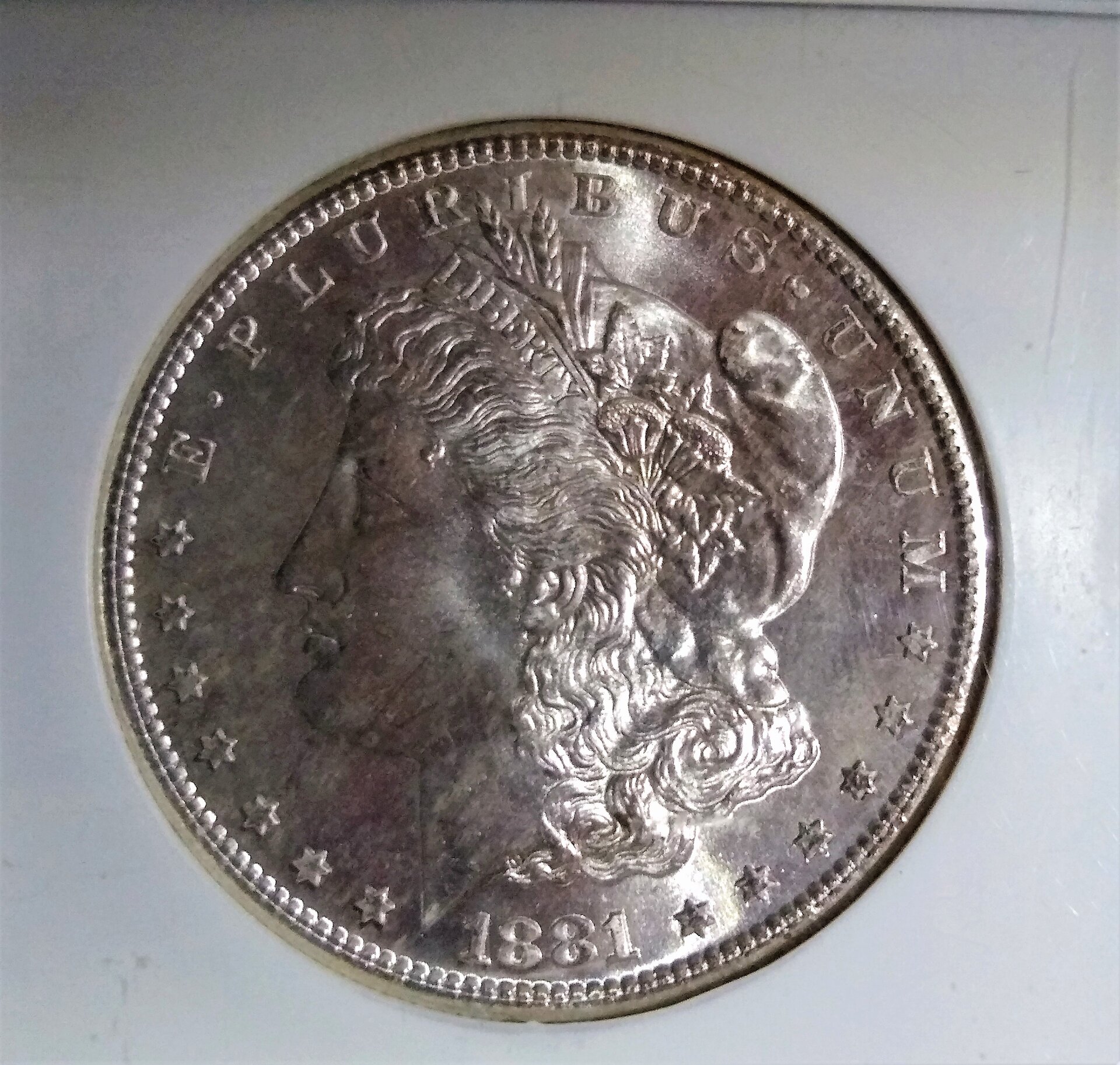 1881SMSDOBV.jpg