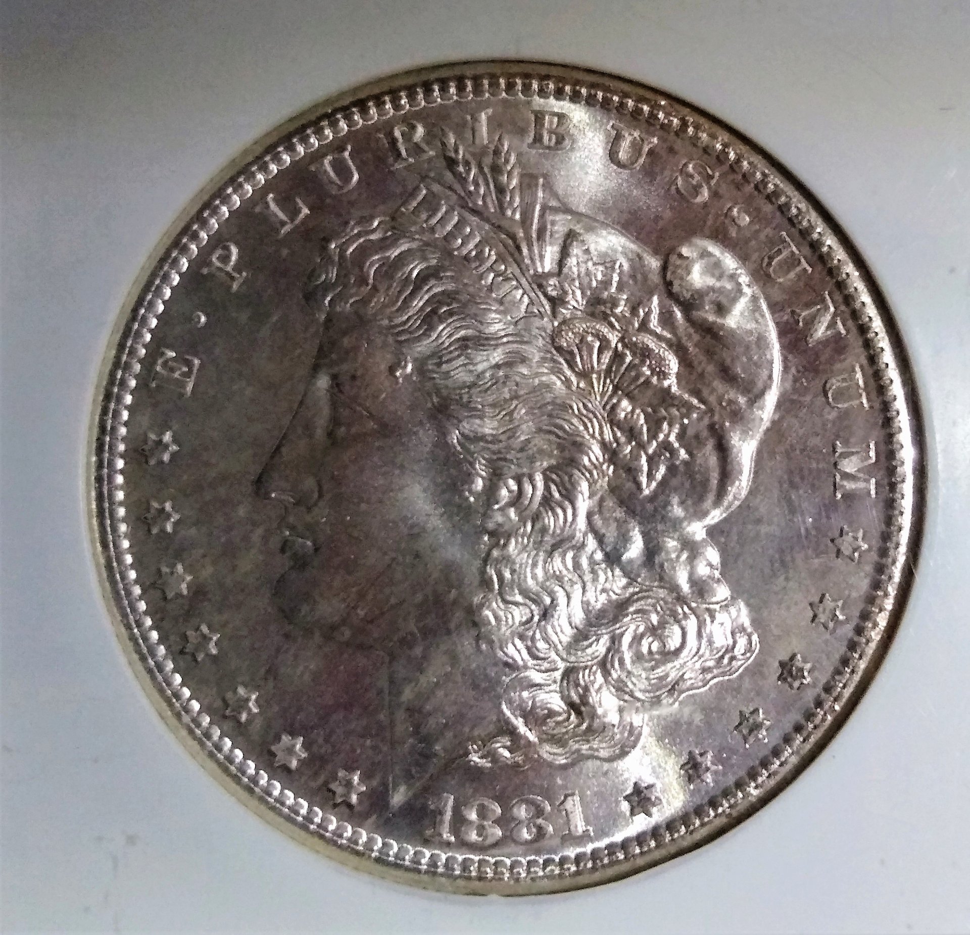 1881SMSDOBV.jpg