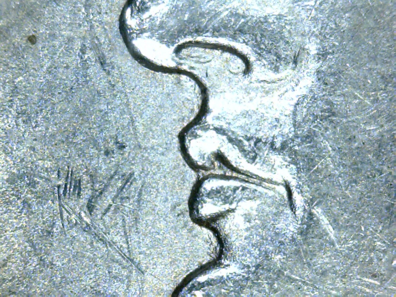 1882 cc face.jpg