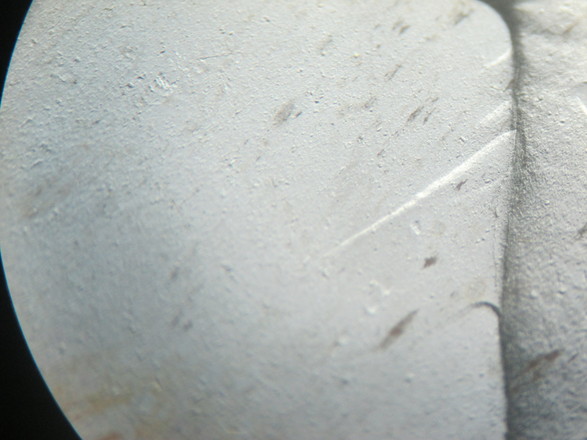 1882 cc vam 3c 014.JPG