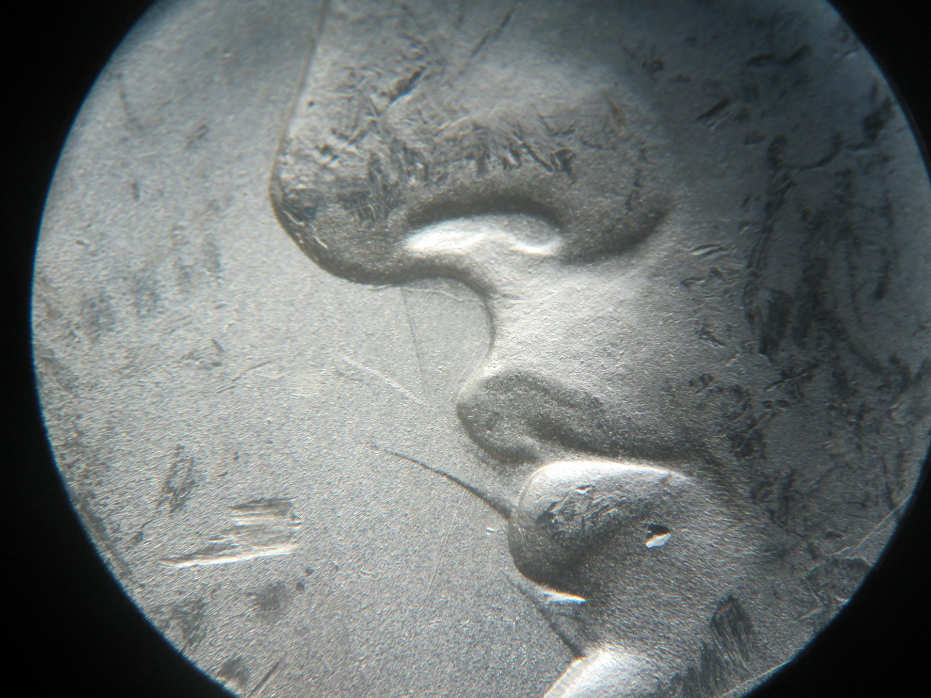 1882 cc vam 3c 021.JPG