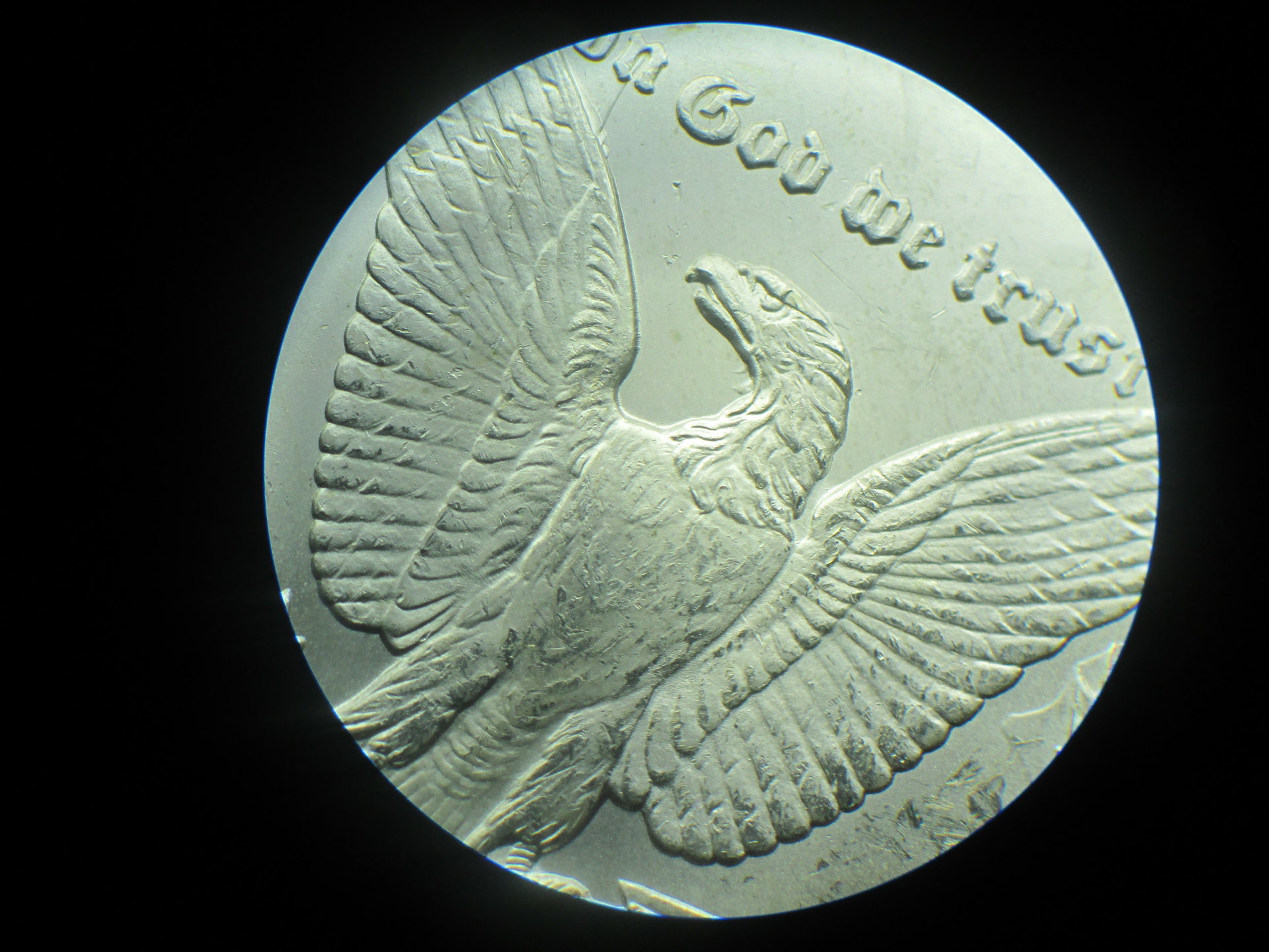 1882 cc vam 3c 033.JPG