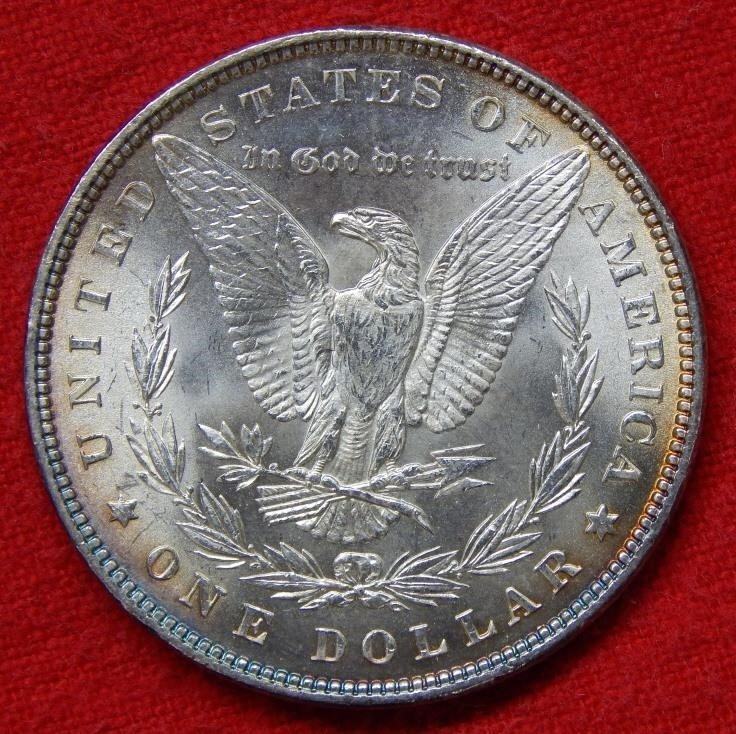 1882 Morgan Dollar 2 rev.jpg