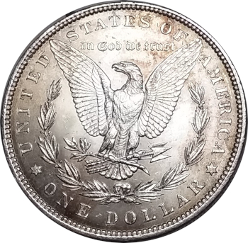 1882 Morgan Reverse.jpg