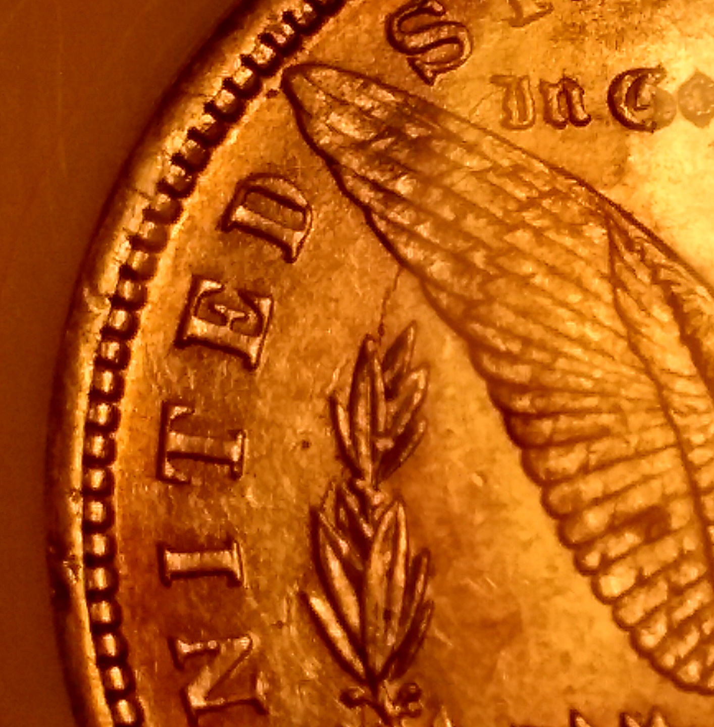 1882 O morgan die crack wing.jpg
