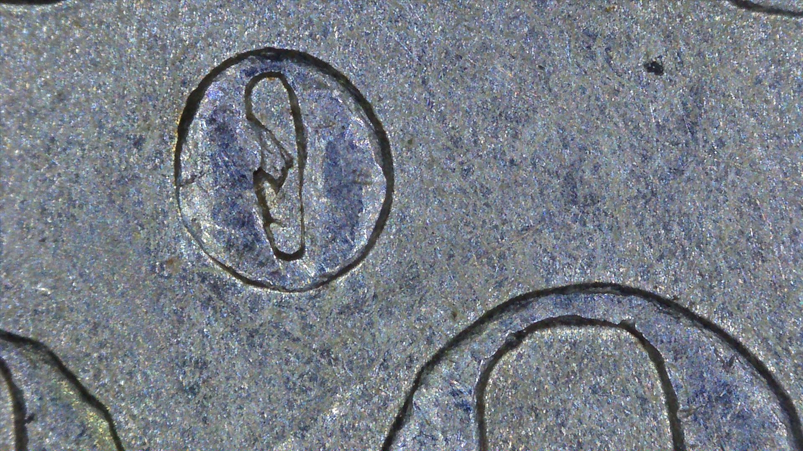 1882 O-S Mint Mark Closeup.jpg