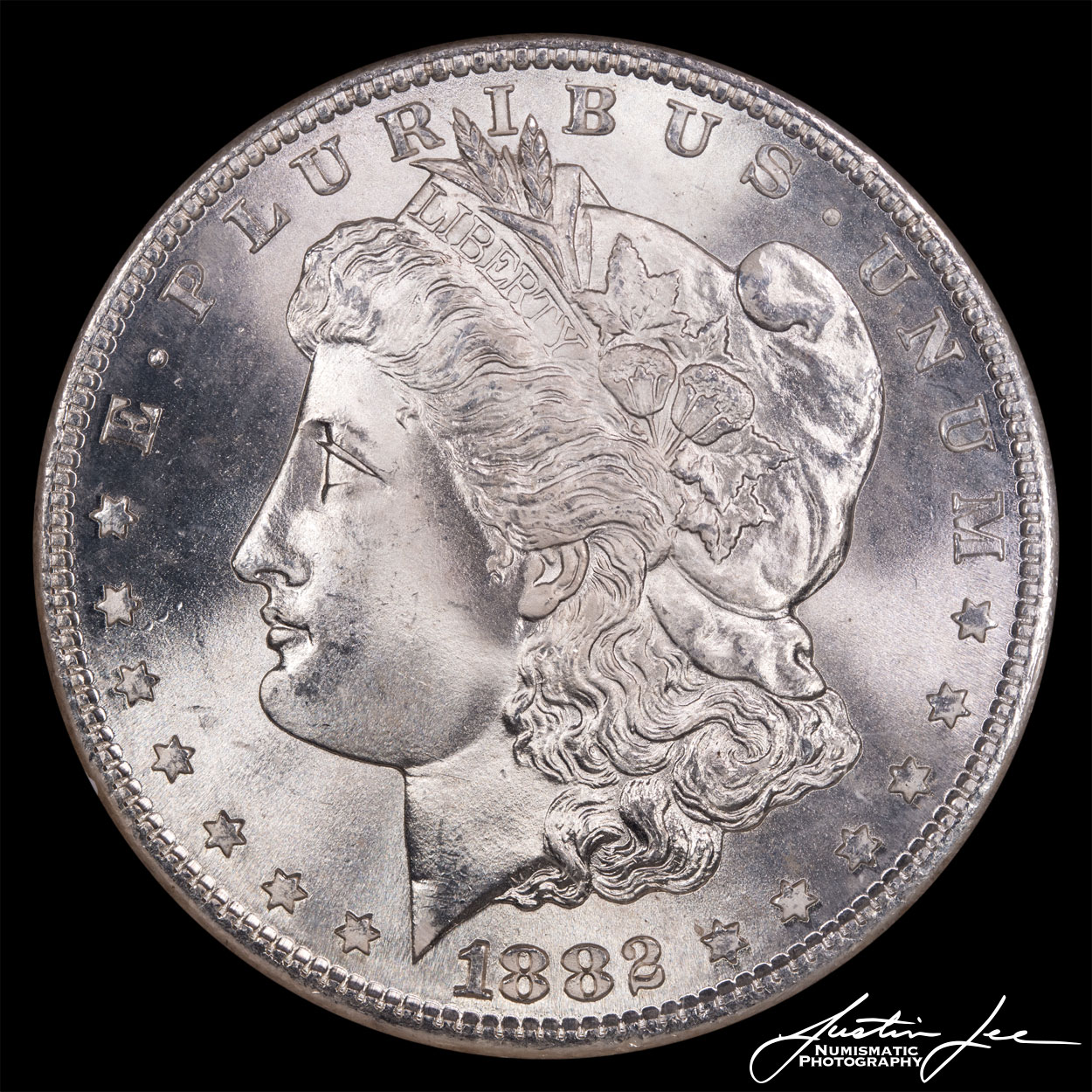 1882-S-Morgan-Dollar-Obverse.jpg
