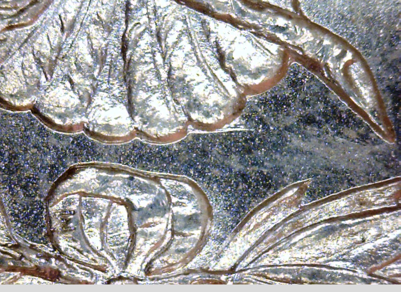 1882 S-S Vam 5 tail feather gouge.jpg