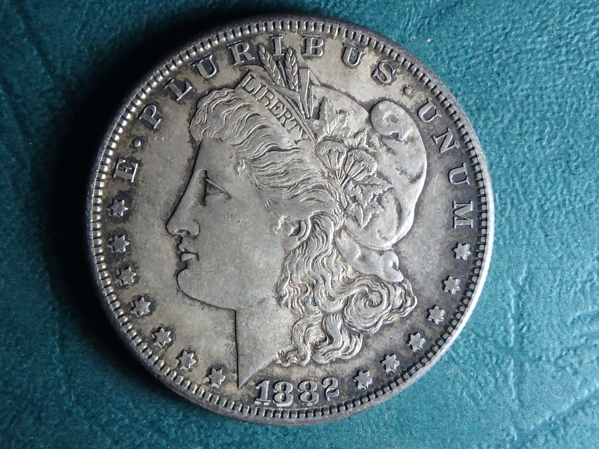 1882 S US 1 dol obv.JPG
