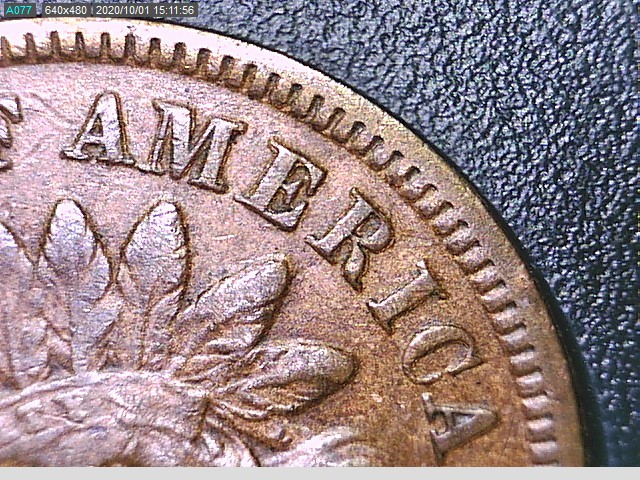 1882america.jpg