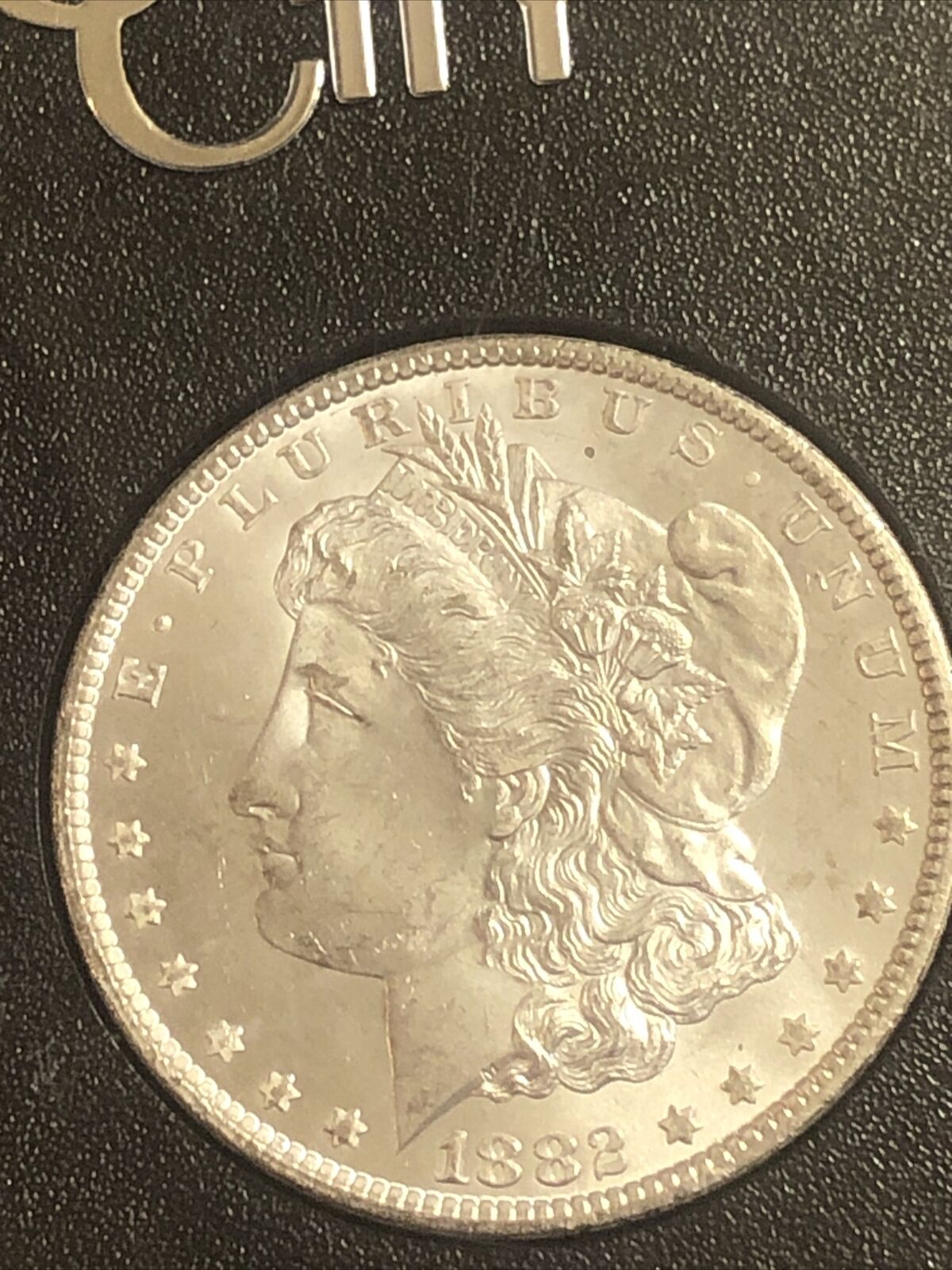 1882o.jpg