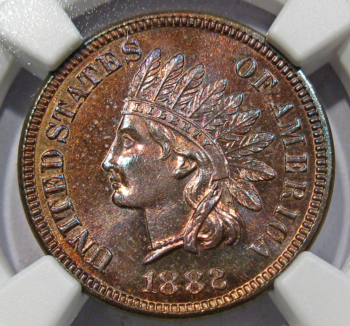 1882o.jpg