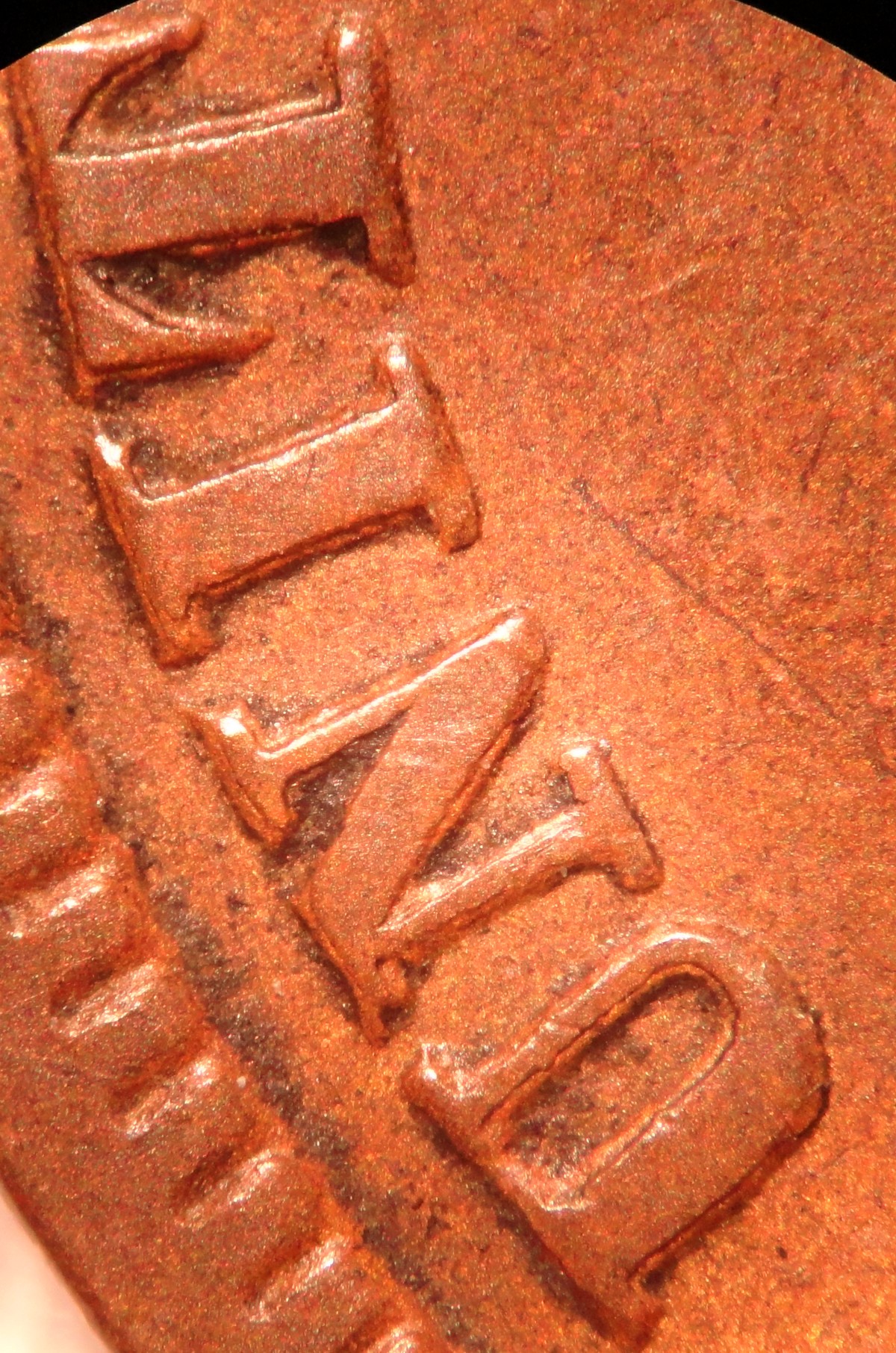 1882PUN-00100005.jpg