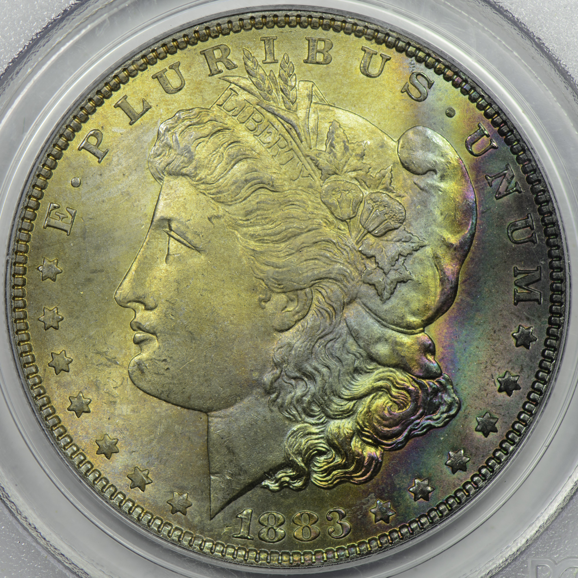 1883 $1 MS65 Obv Closeup.jpg