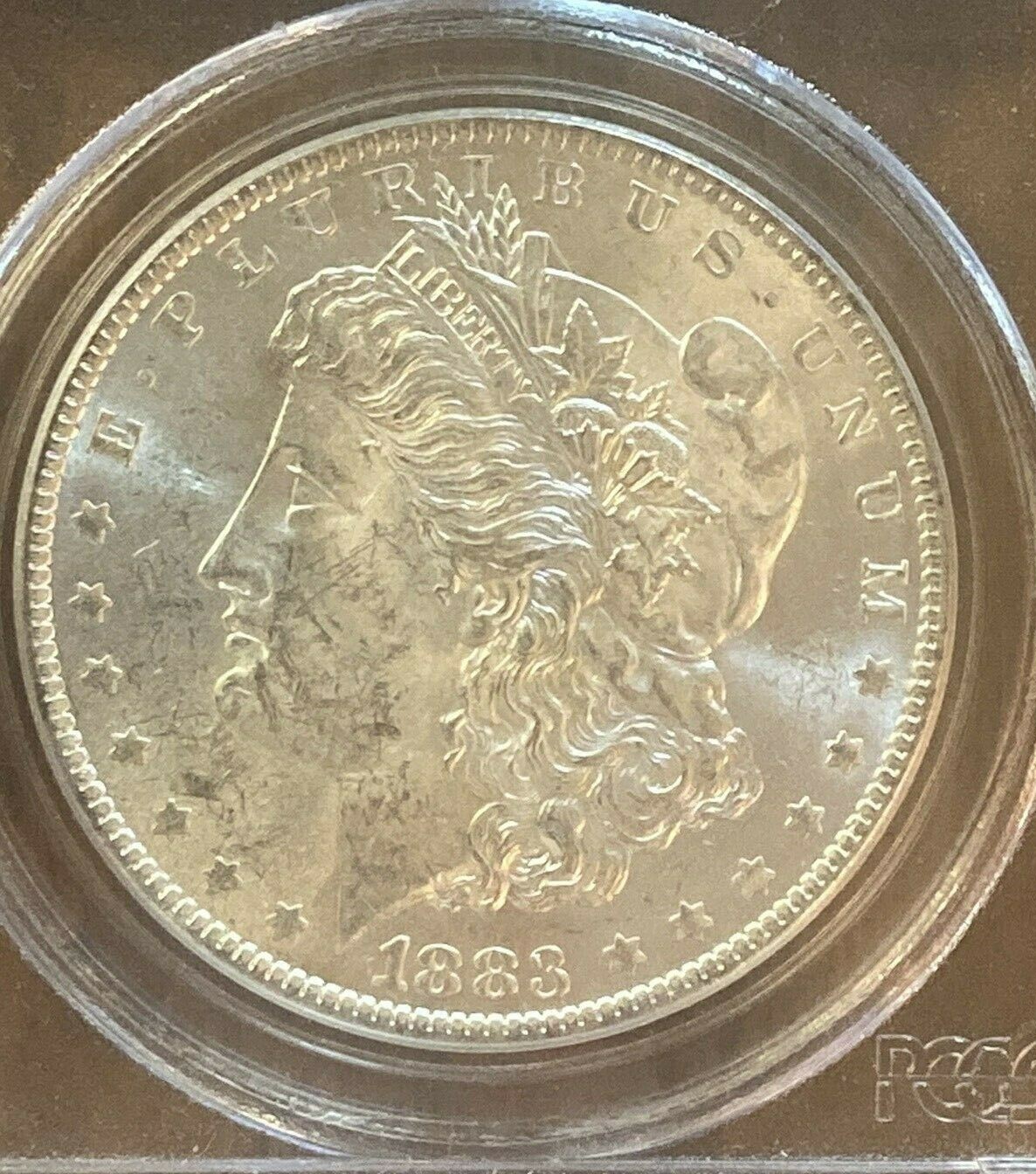 1883 (2).jpg