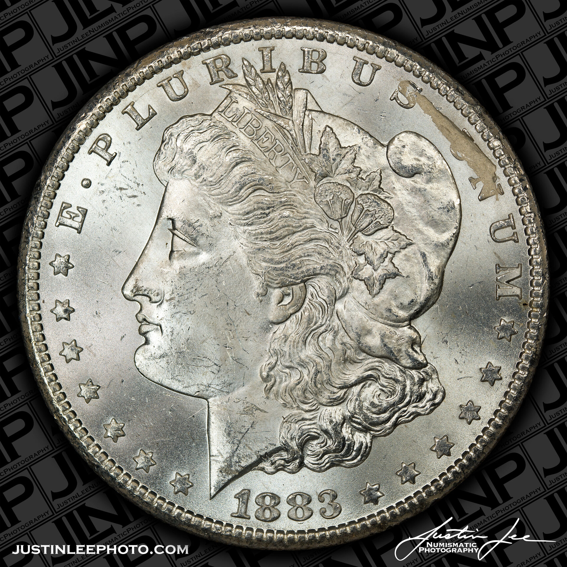 1883-CC-Morgan-Dollar-Obverse-JLNP.jpg
