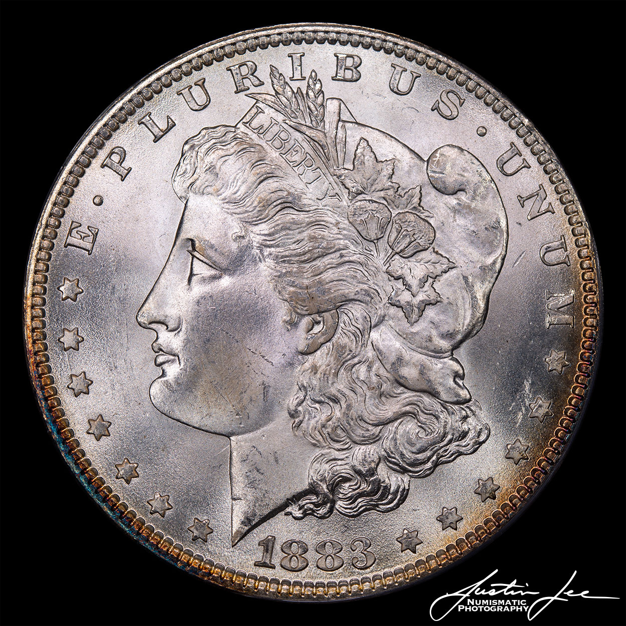 1883-Morgan-Dollar-Obverse.jpg