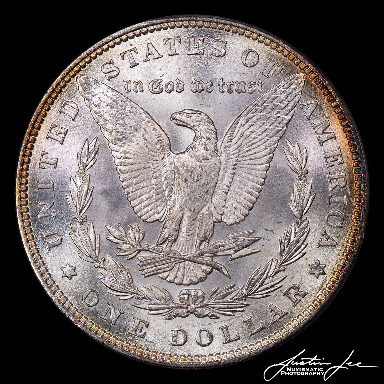 1883-Morgan-Dollar-Reverse.jpg