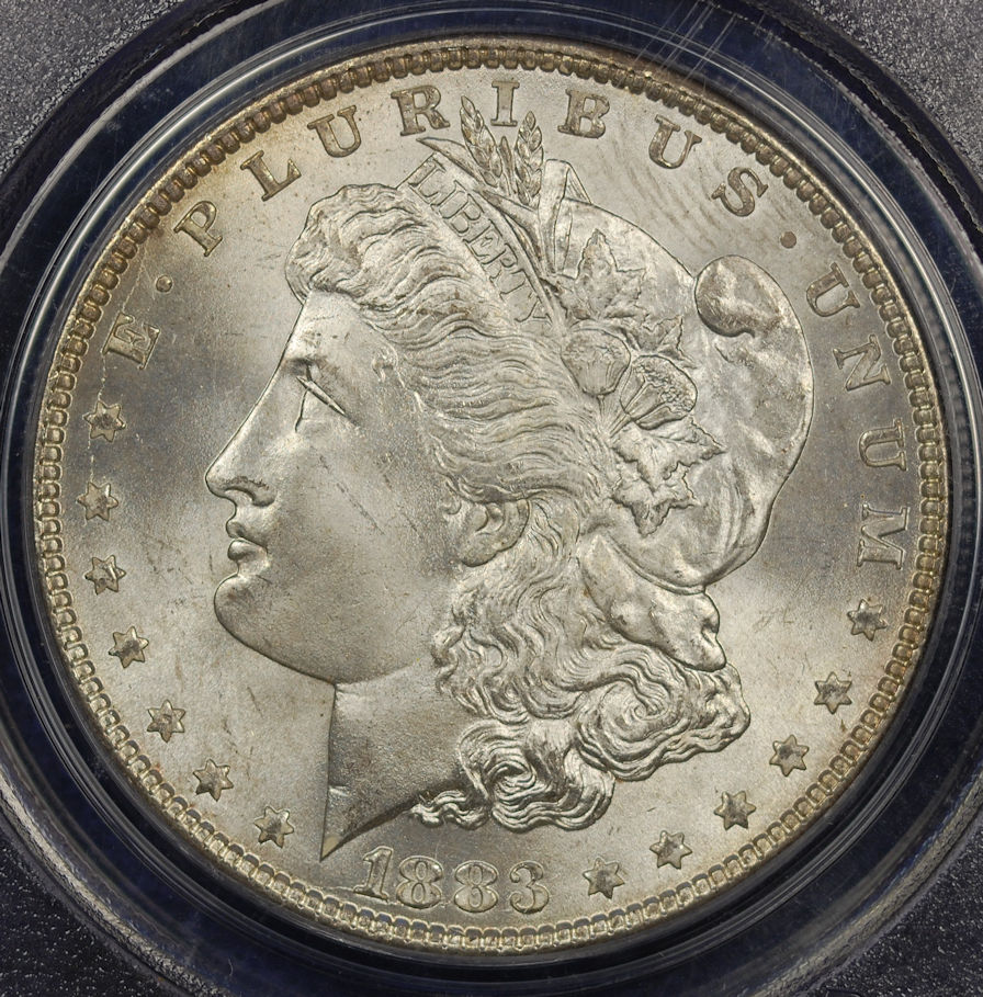 1883 Morgan obv.jpg