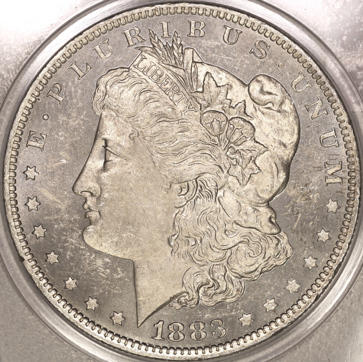 1883-O.1C1.eds.obv.1.2.JPG