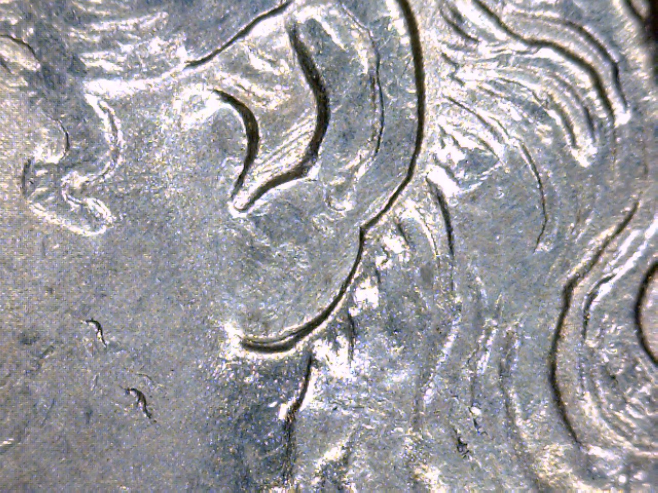 1883 O double ear lobe.jpg
