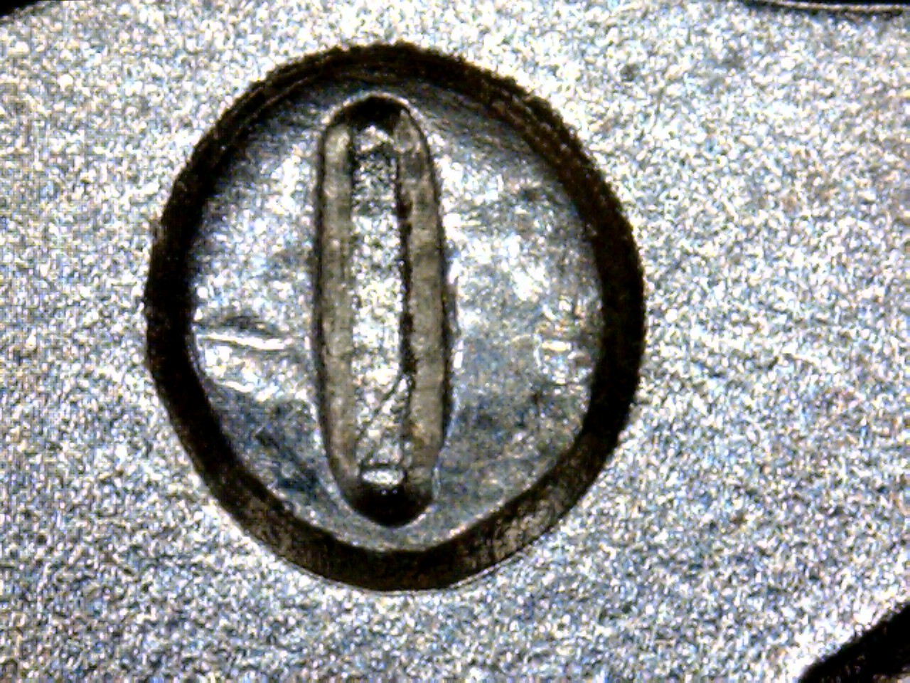 1883 O MM image 2.jpg