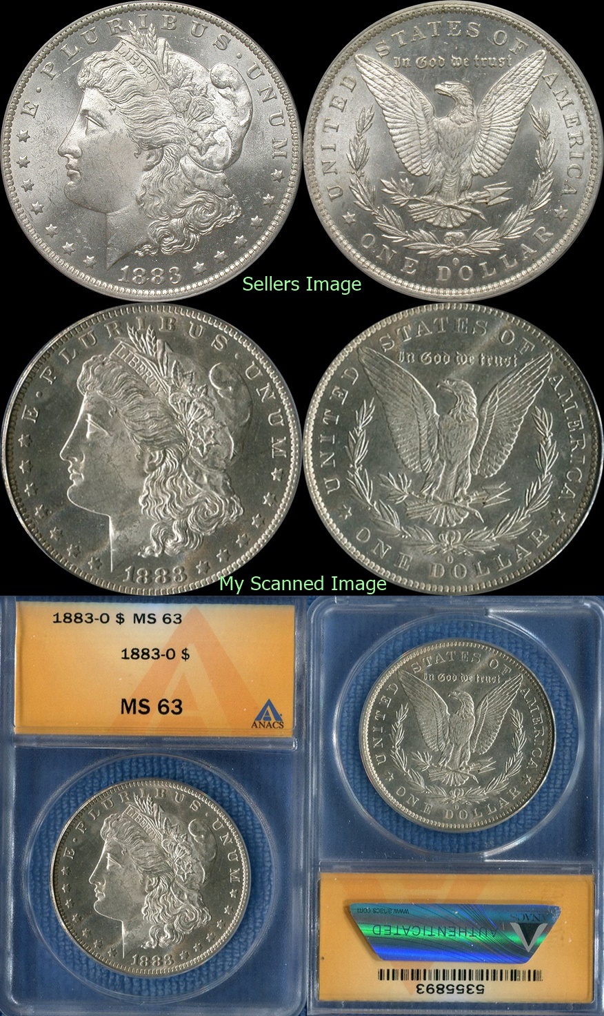 1883-O $ xyc-vert.jpg