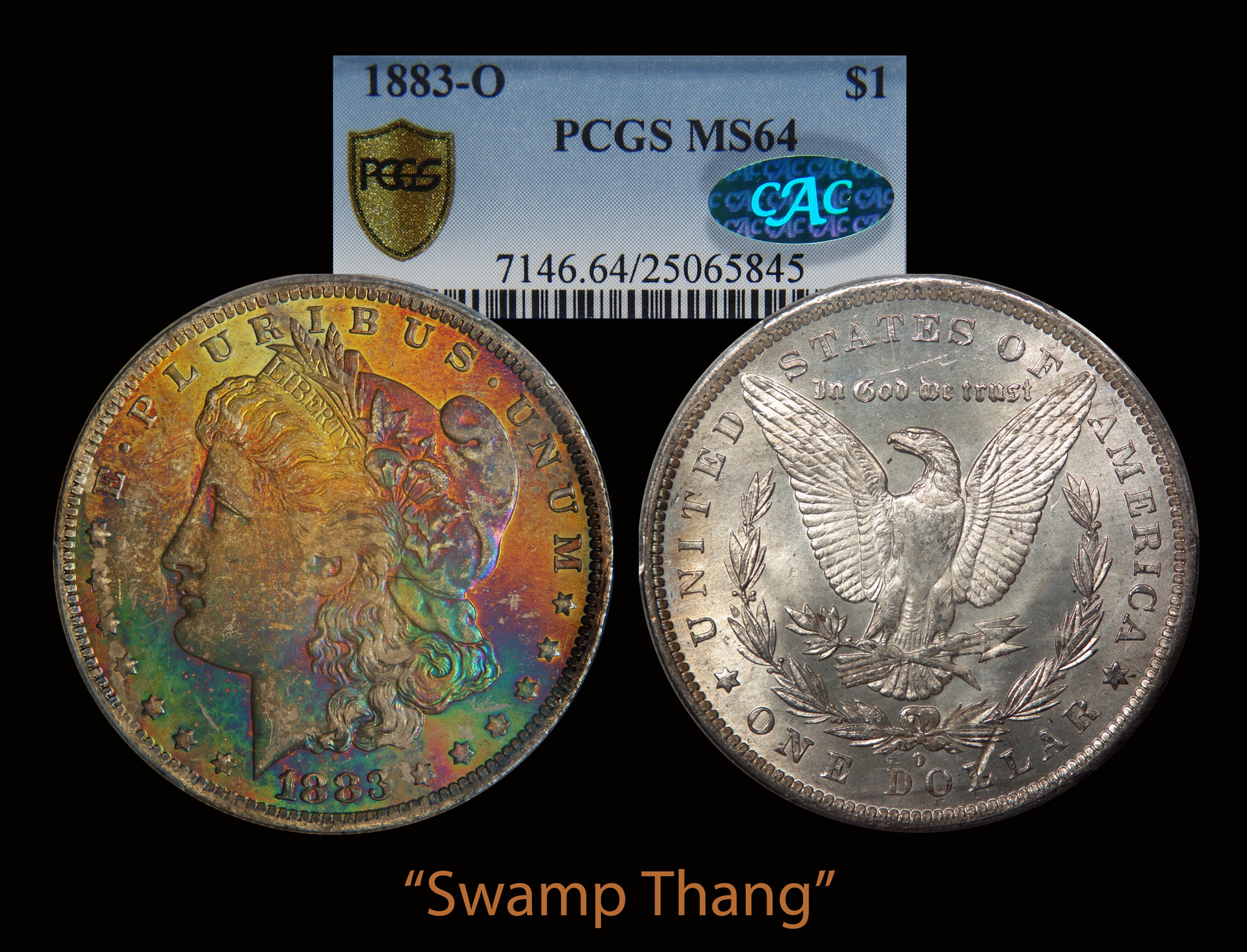 1883 Oa Swamp Thang.jpg