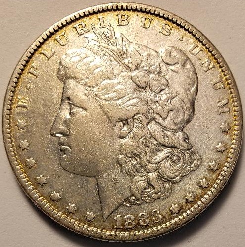 1883 toned obv.jpg