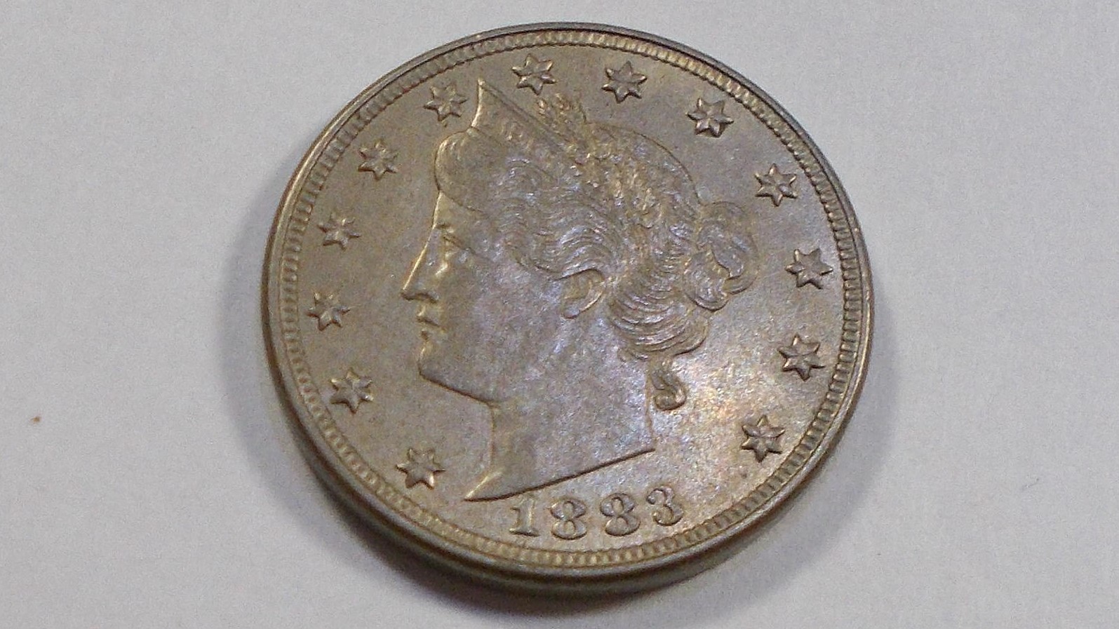 1883-v_B.jpg