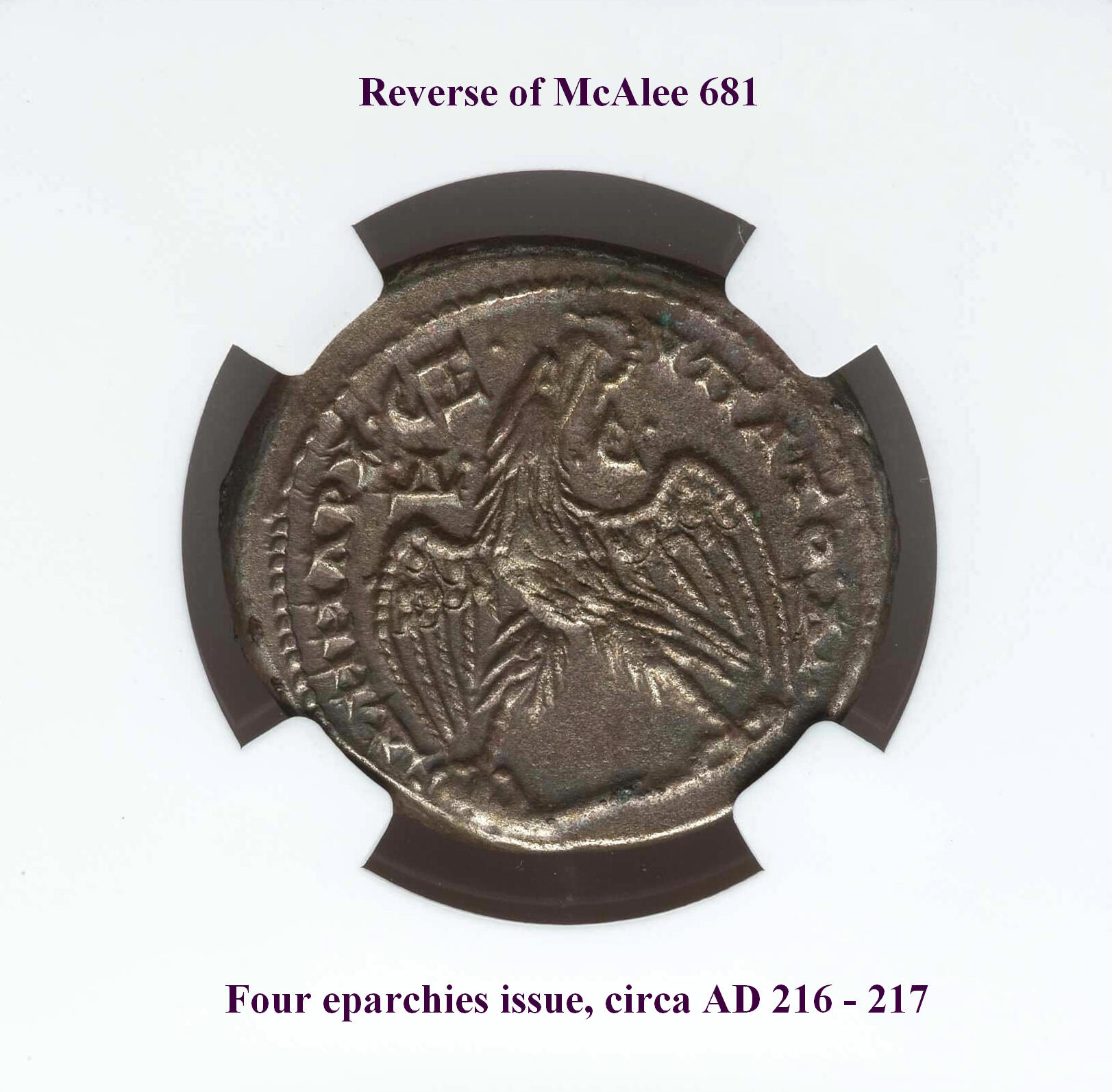 1883002-031 rev..jpg