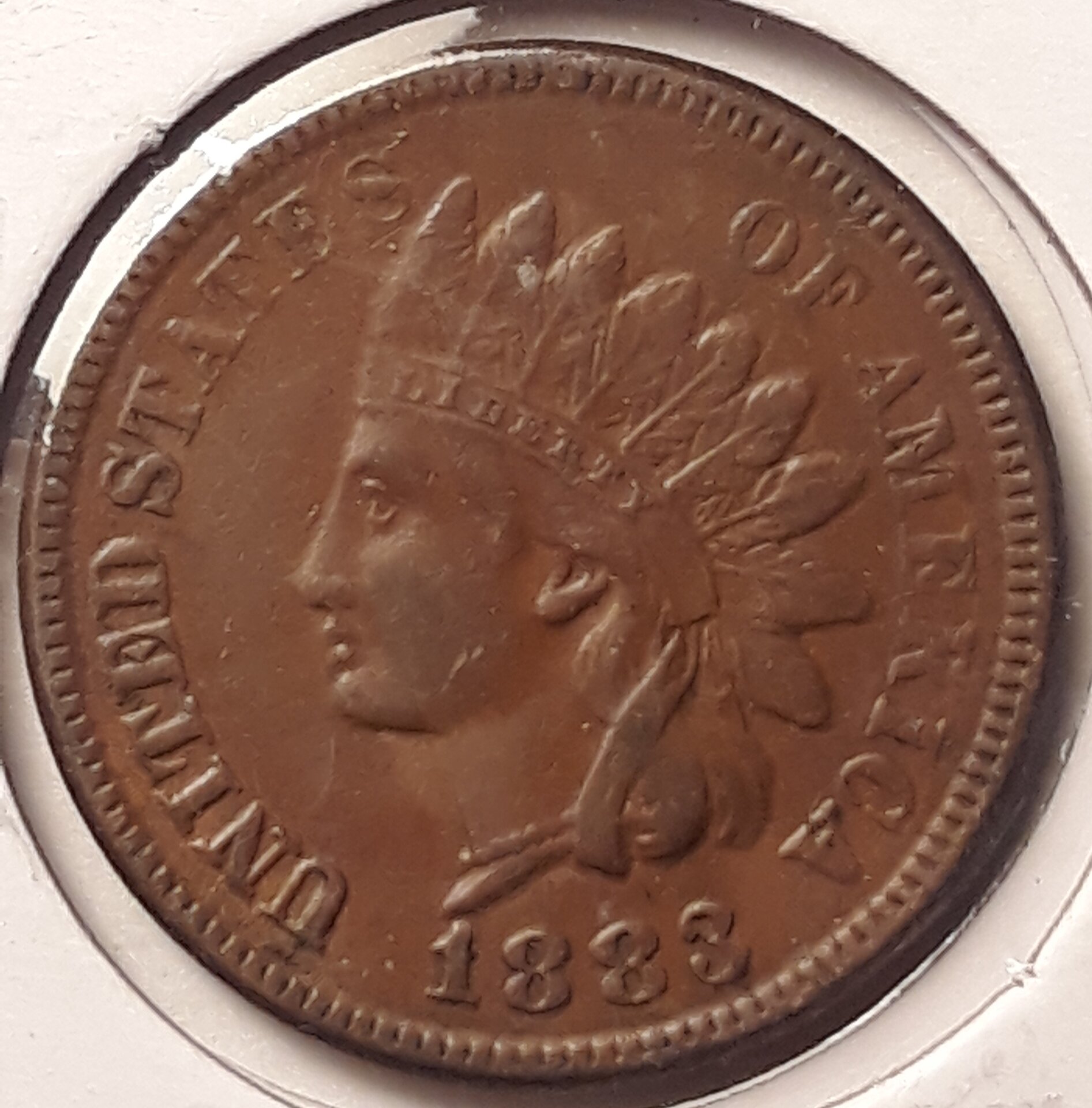 18831COBV01.jpg