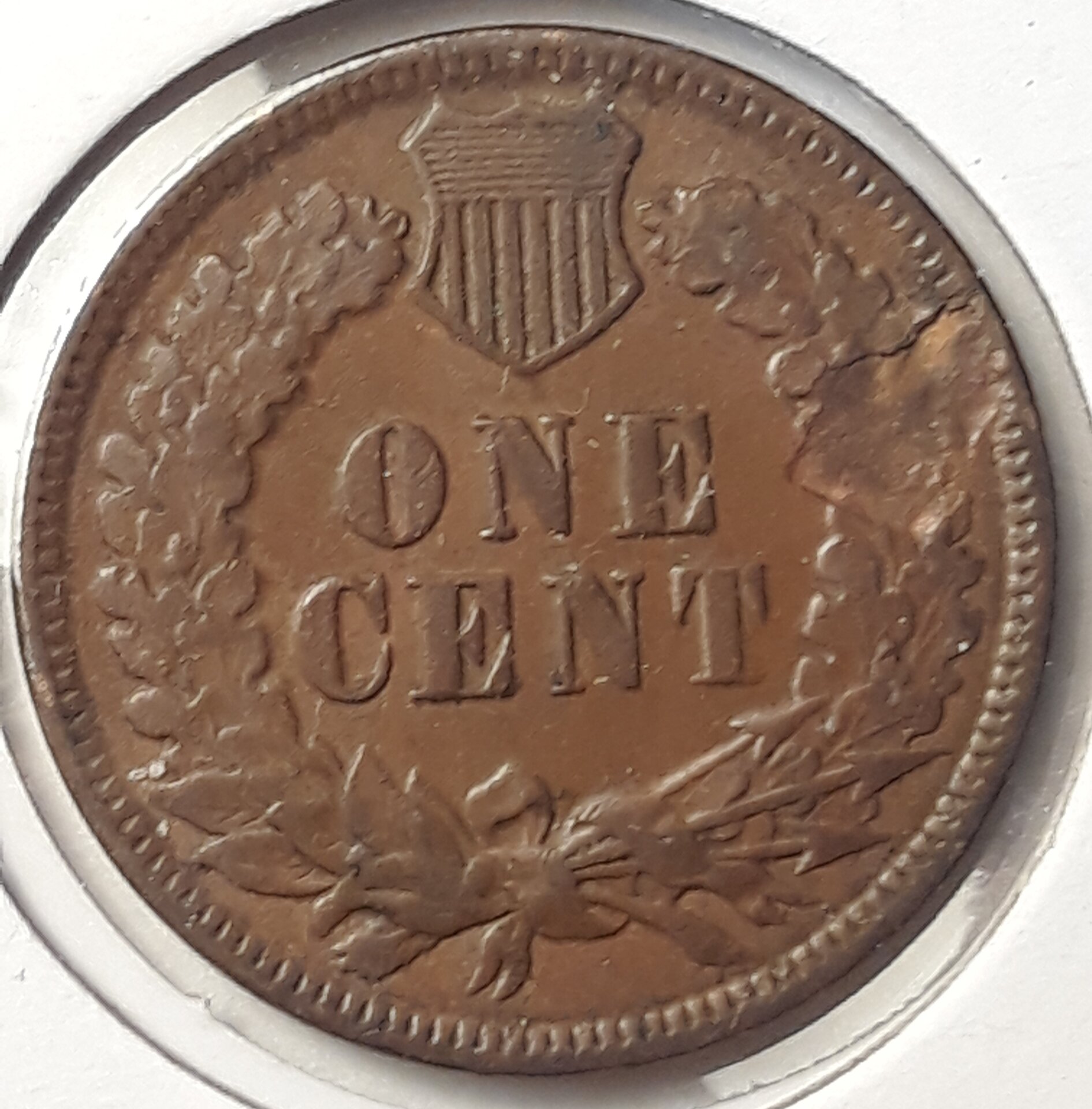 18831CREV01.jpg