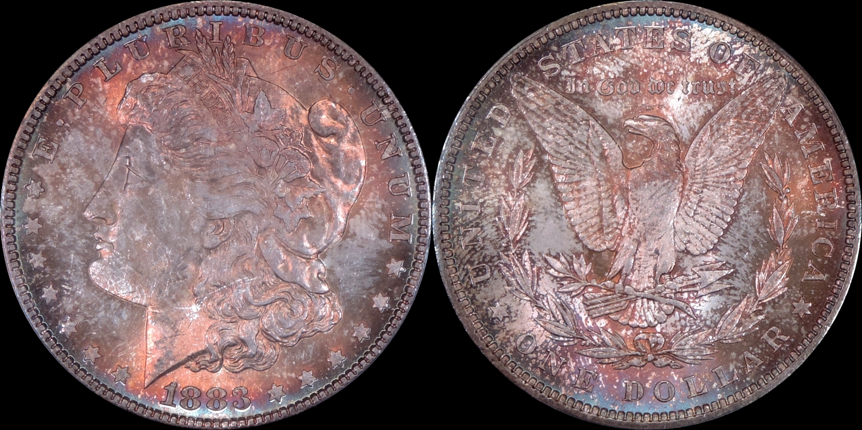 1883_P.jpg