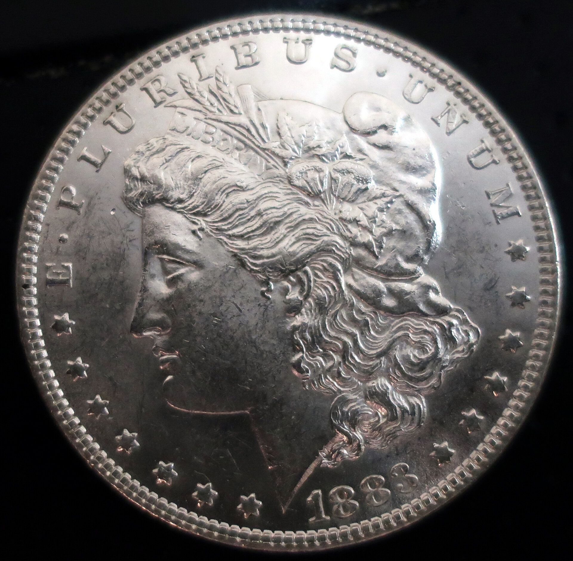 1883_raw_morgan.jpg