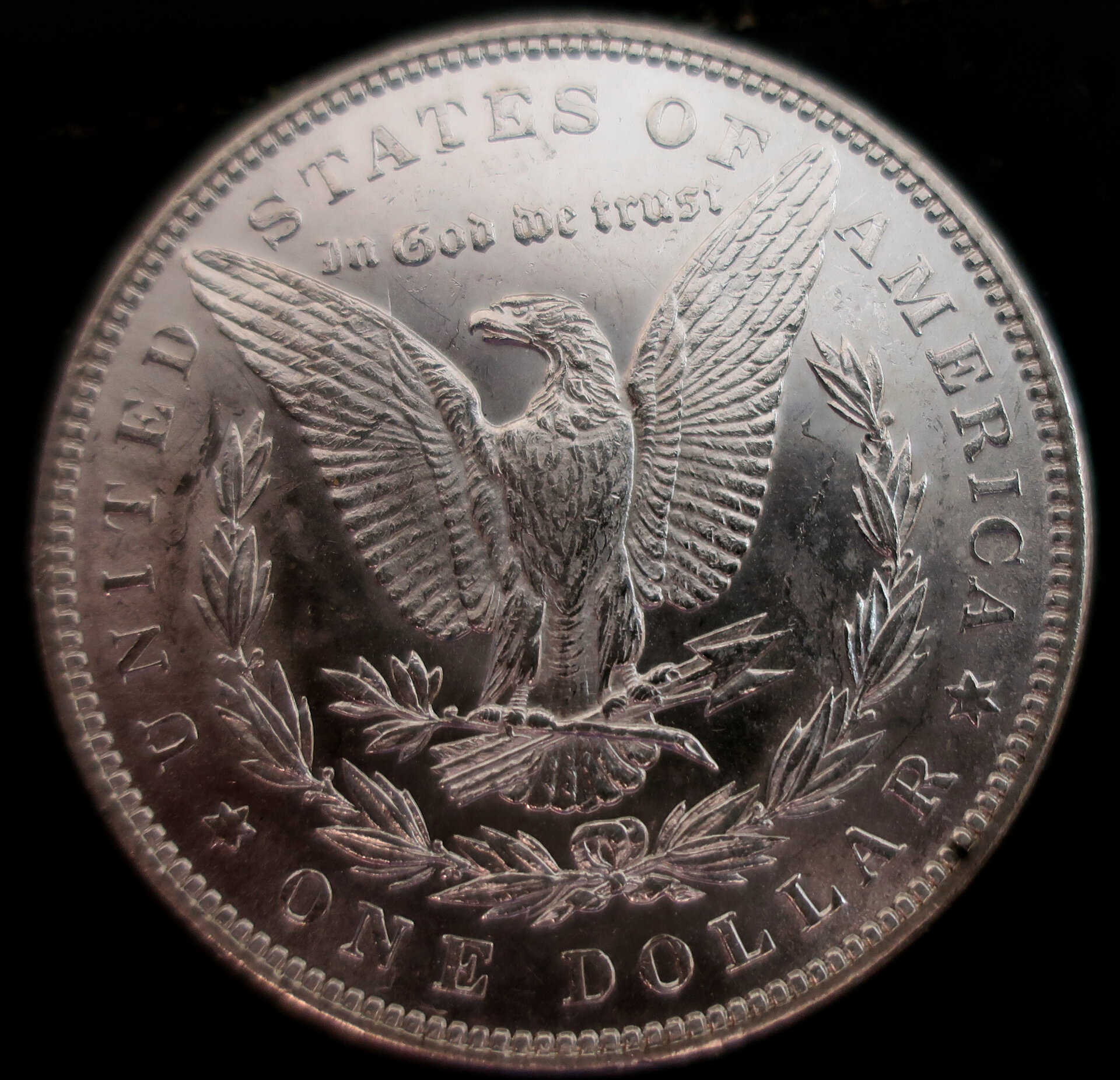 1883_raw_morgan_r.jpg