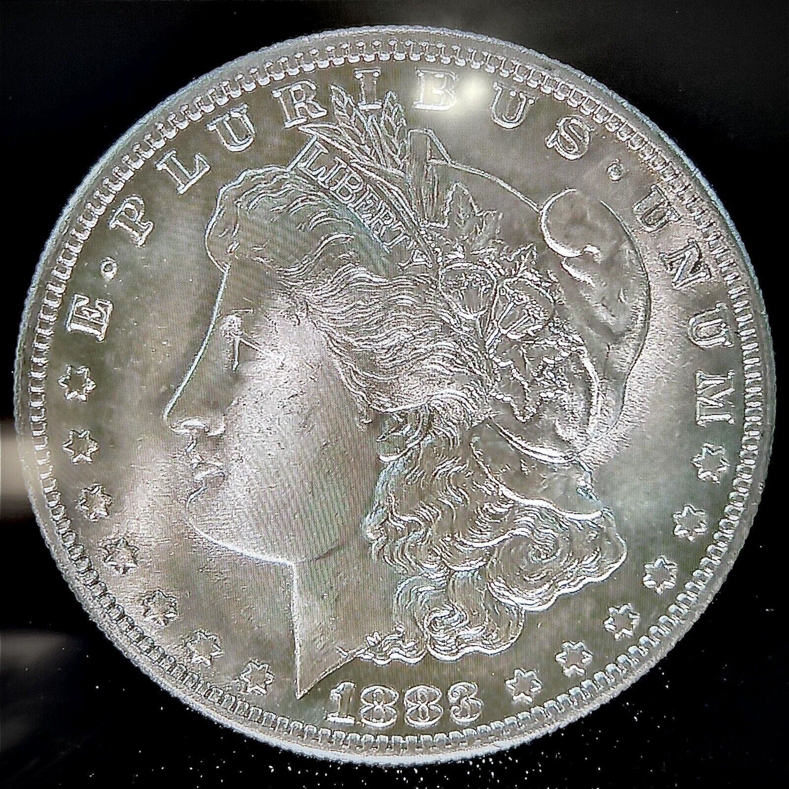 1883s.jpg