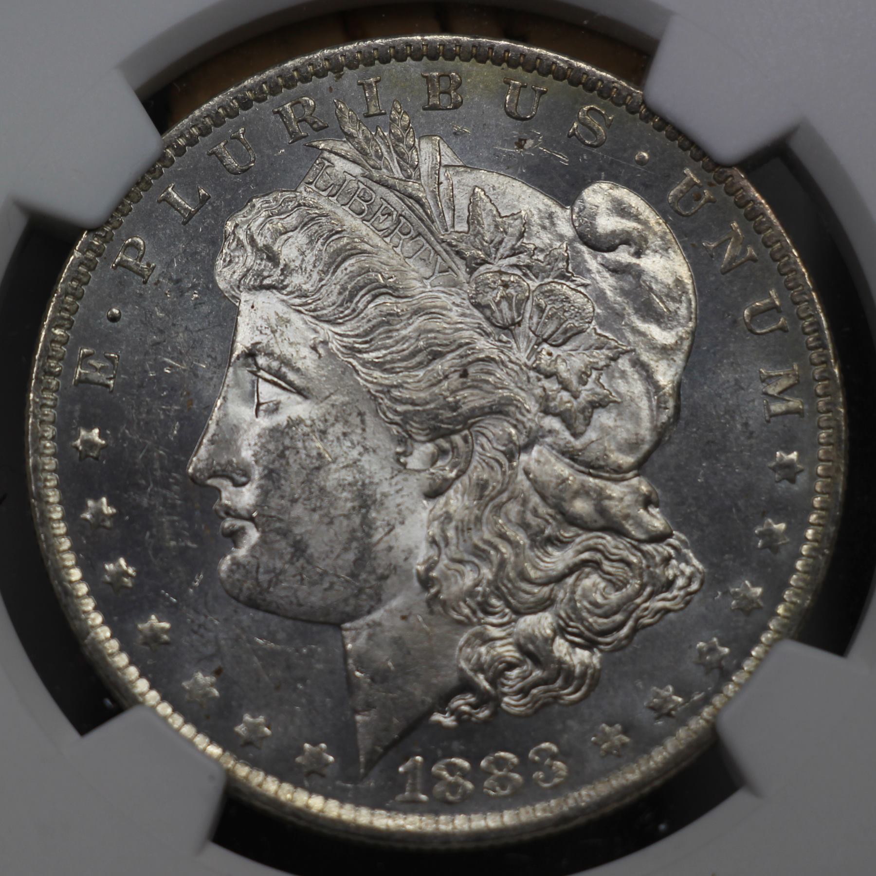 1883toned_obverse.jpg