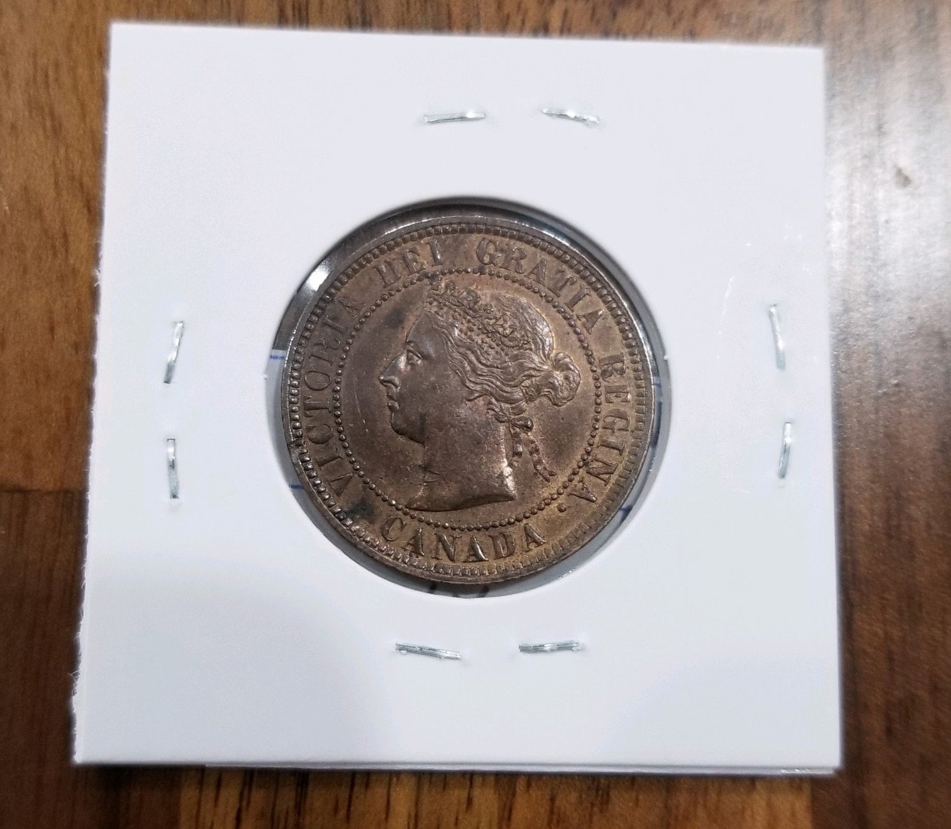 1884 Canda reverse.jpeg