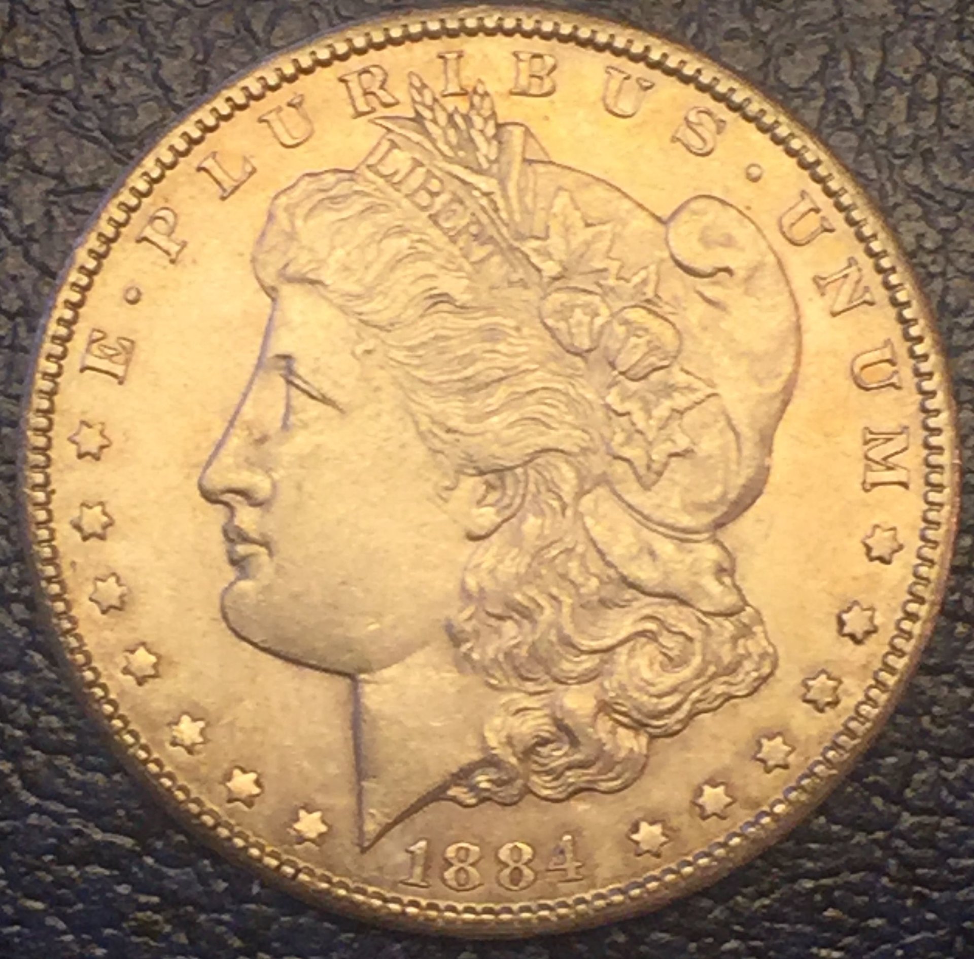 1884 CC Morgan - obs.jpg
