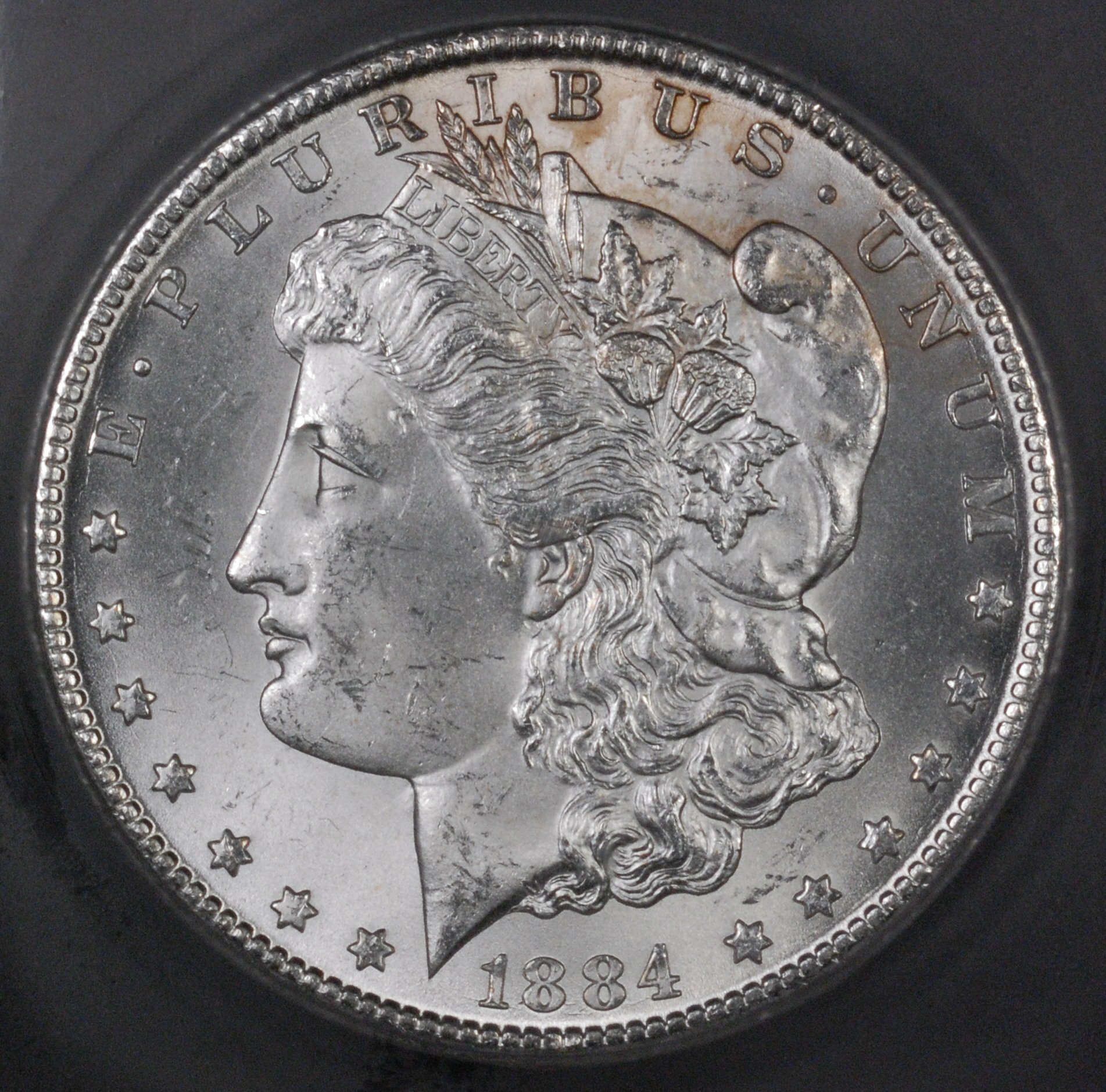 1884-cc Morgan obv.jpg