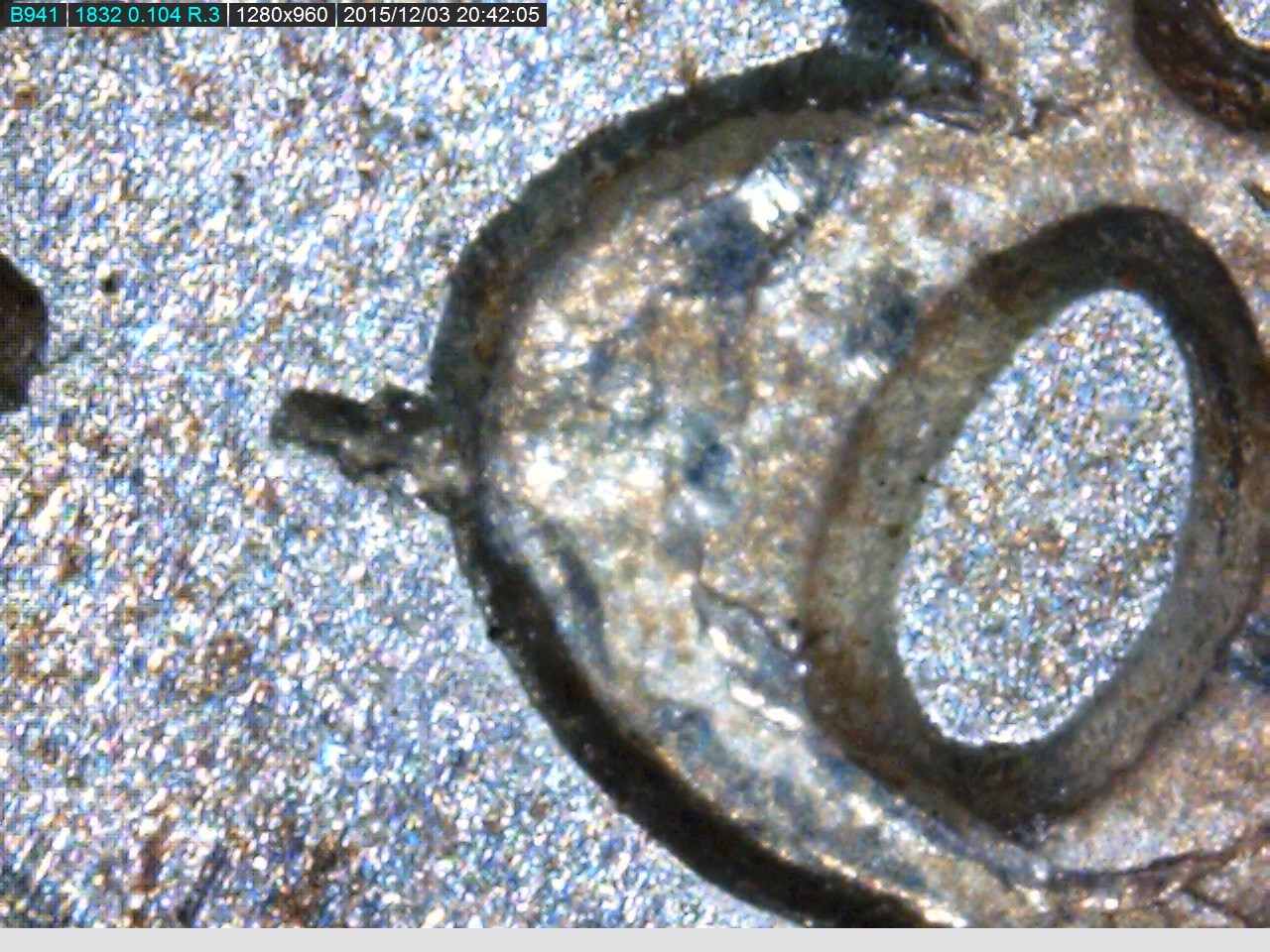 1884 CC Spike Date 8.jpg