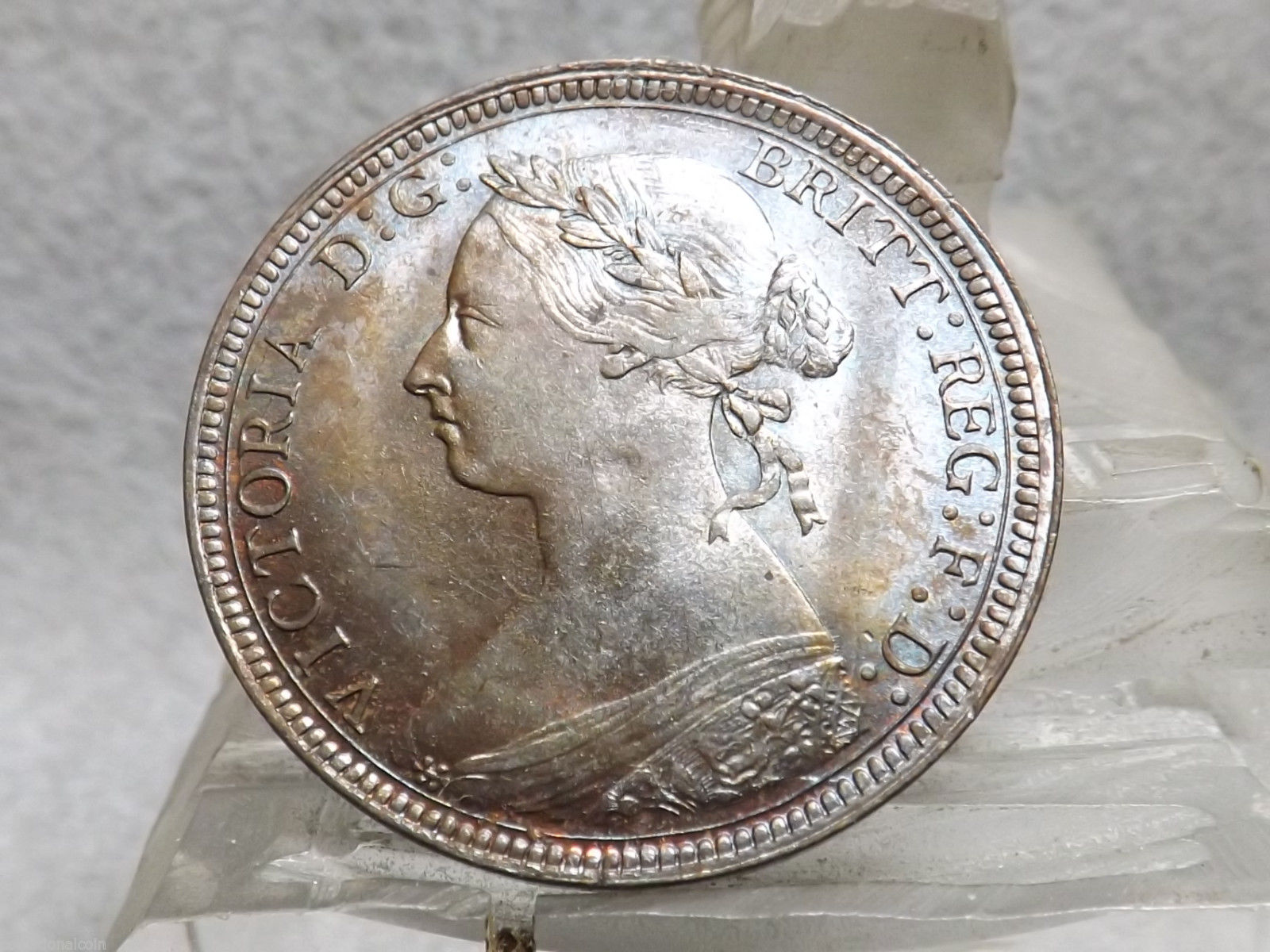 1884.jpg