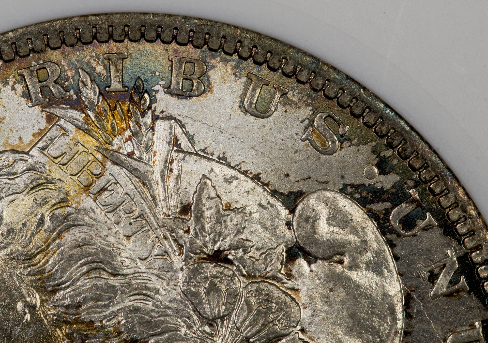 1884 O Morgan Dollar - Die Crack 2.jpg